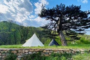 北地溪谷秘境营地